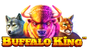 Buffalo King