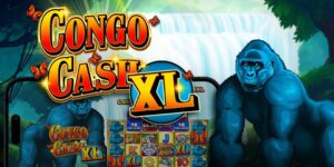 Congo Cash XL